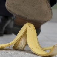 General Liability Insurance, Professional Liability Insurance